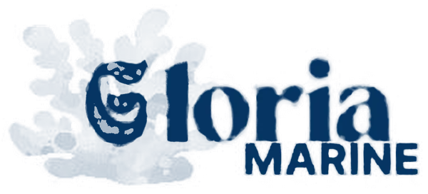Logo Gloria Marine
